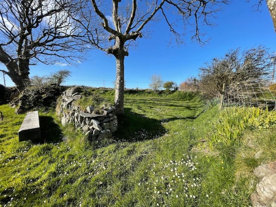 The Hut@Trefechan Wen - Coastal Coziness! Villa Goodwick Exterior foto